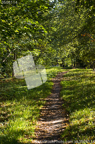 Image of Deserted footpath in park