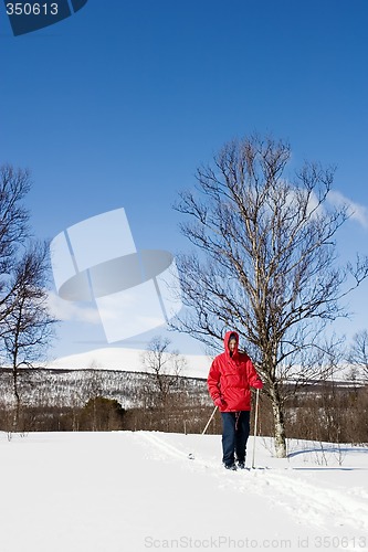 Image of Cross Country Landscape