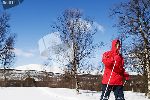 Image of Cross Country Landscape