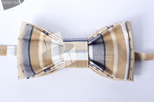 Image of Modern butterfly bow tie