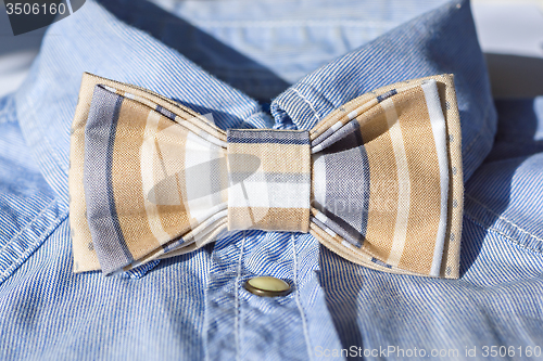 Image of Butterfly bow tie on shirt