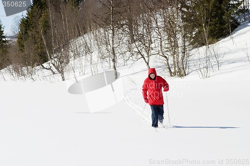 Image of Cross Country Landscape