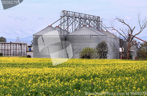 Image of Bilimari canola and grain silos