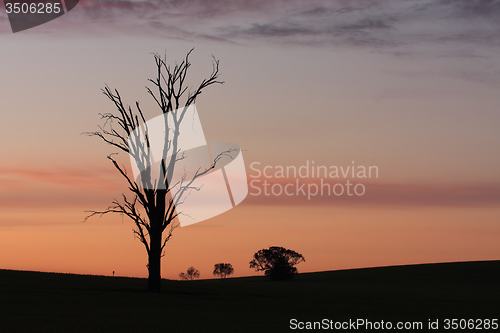 Image of Dawn rural sillhouettes