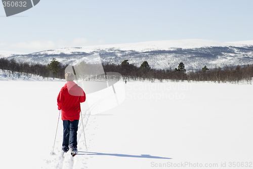 Image of Cross Country Landscape