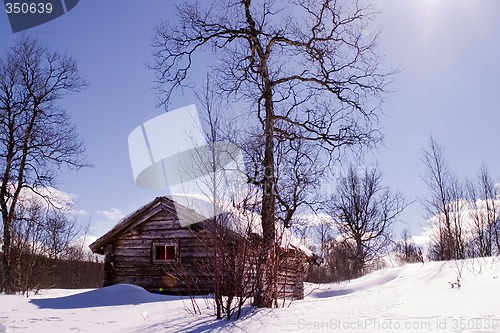 Image of Winter Cabin