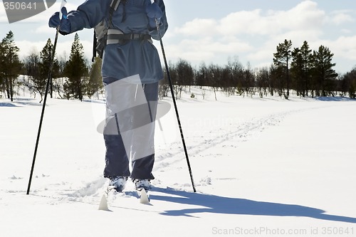 Image of Cross Country Landscape