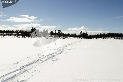 Image of Cross Country Ski Trail