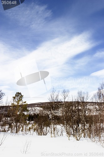 Image of Mountain Landscape