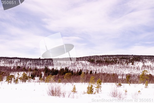 Image of Frozen Lake