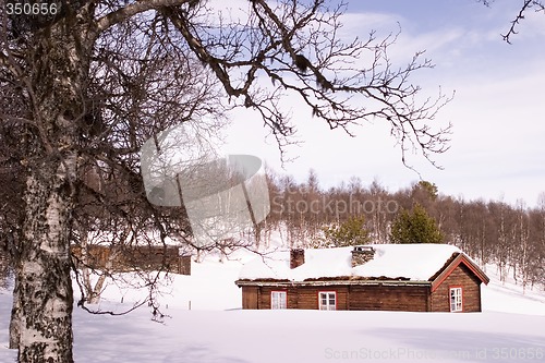 Image of Barren Landscape