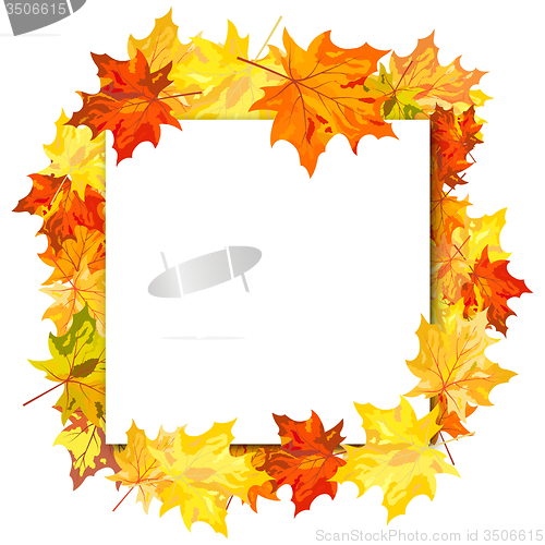 Image of Maple Frame