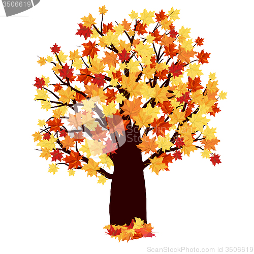 Image of Autumn Maple Tree