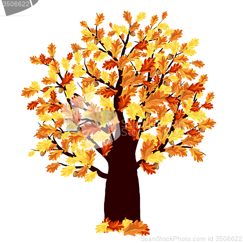 Image of Autumn Oak Tree