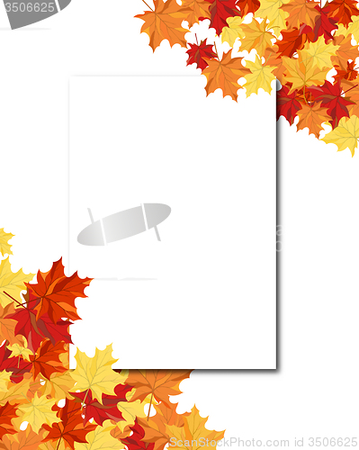 Image of Maple Frame