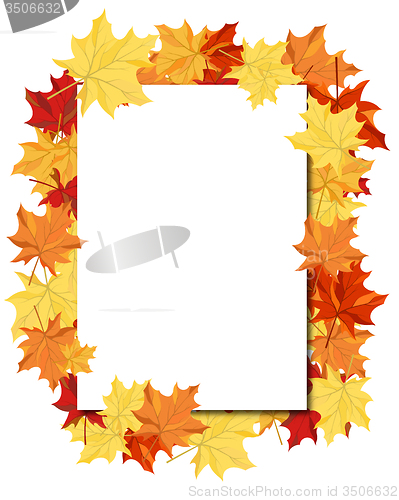 Image of Maple Frame