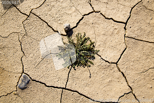 Image of brown dry sand in sahara bush stone rock