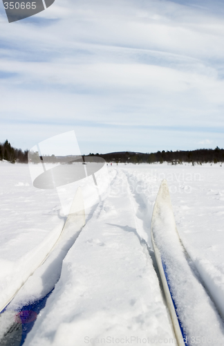 Image of Cross Country Skiing