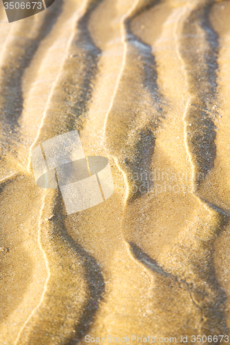 Image of dune morocco in   sand beach near atlantic ocean