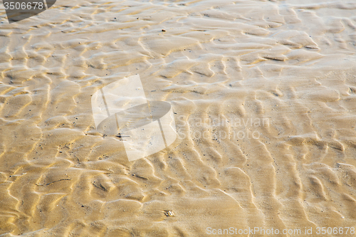 Image of dune morocco in  near atlantic ocean