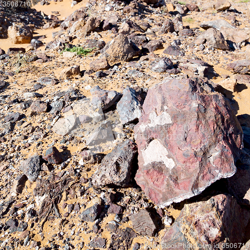 Image of mountain old fossil in  the desert of morocco sahara and rock  s