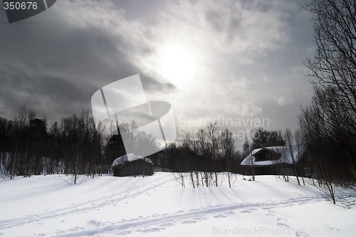 Image of Winter Night