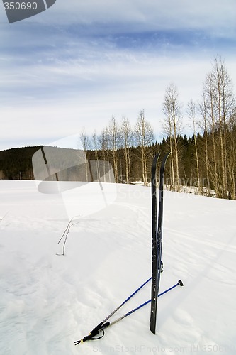 Image of Skis in Snow