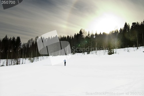 Image of Skiing