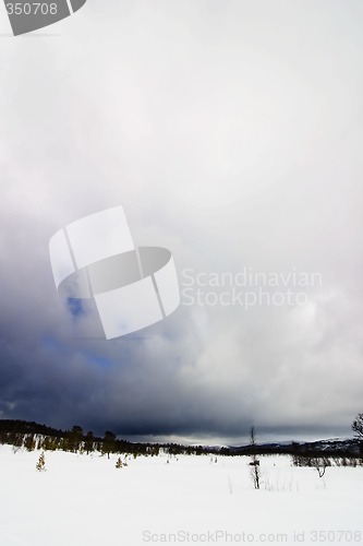 Image of Winter Landscape