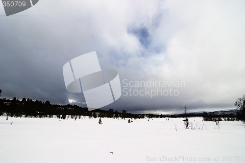 Image of Winter Landscape