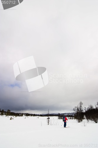 Image of Skiing in Winter