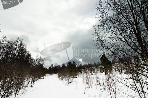 Image of Winter Moody Landscape