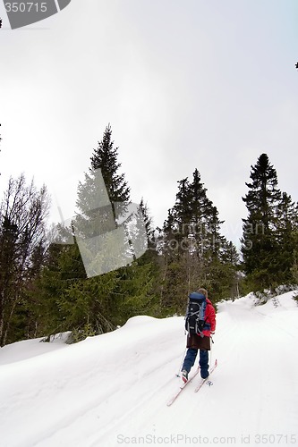 Image of Skiing in Winter