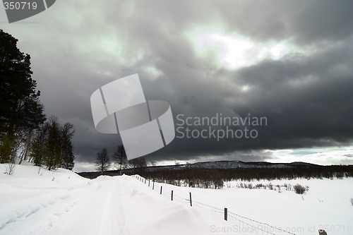 Image of Winter Landscape