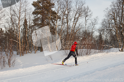 Image of Cross country