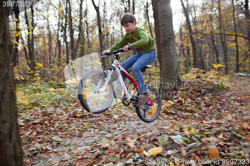 Image of Cycling