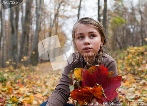 Image of Girl and autumn leaves