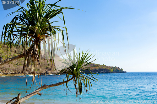 Image of famous Crystal beach at Nusa Penida island