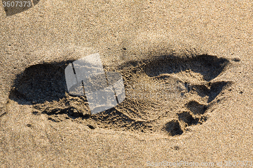 Image of Footprints in the sand