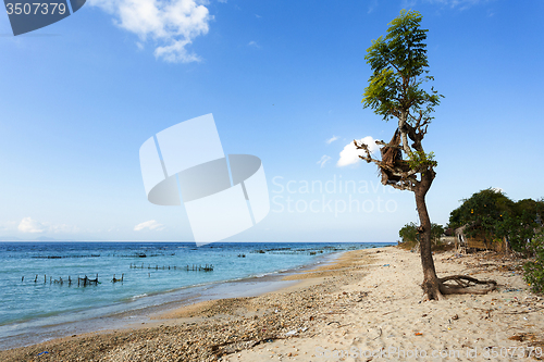 Image of dream beach, Bali Indonesia, Nusa Penida island