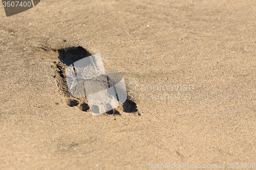 Image of Footprints in the sand