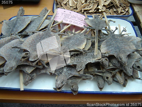 Image of dried lizards in China