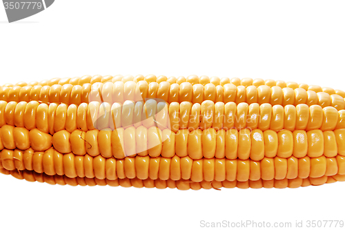 Image of yellow ear of corn