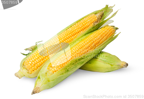 Image of Three corn cob lying cross