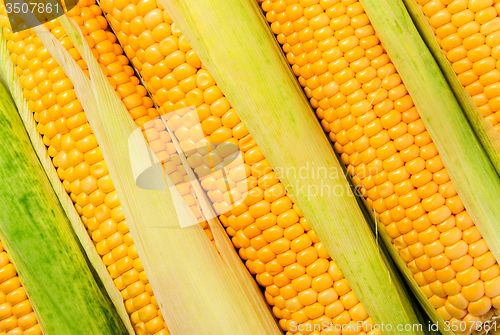 Image of Stacked near peeled corn cobs diagonally