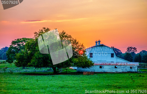 Image of york south carolina white rose city