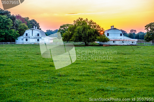 Image of york south carolina white rose city