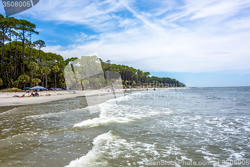 Image of nature scenes around hunting island south carolina