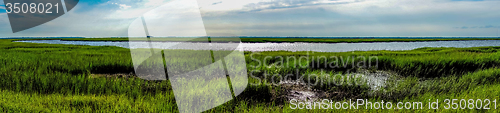 Image of nature scenes around hunting island south carolina