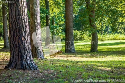 Image of picnic area at woods ferry park in south carolina